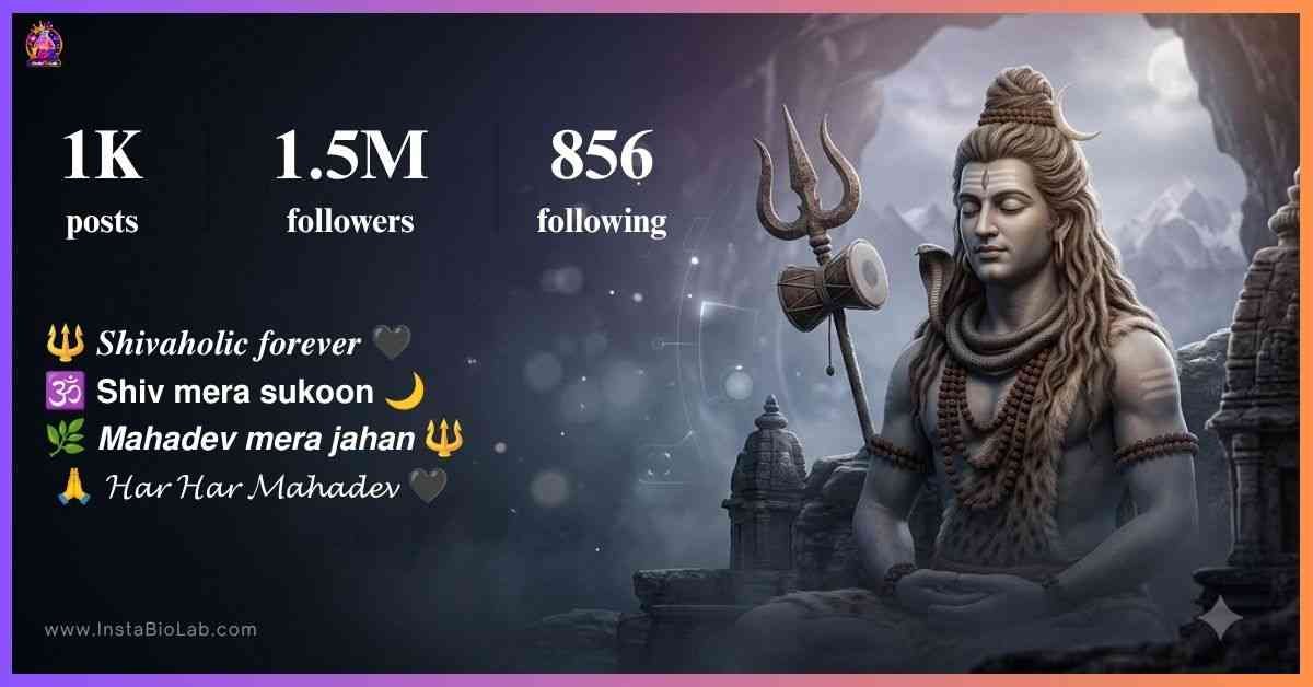 Shivaholic Insta Bio